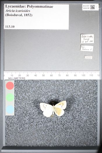 Media type: image;   Entomology 52148